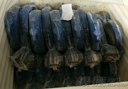 般德渦輪蝶閥、止回閥、過濾器等出口以色列