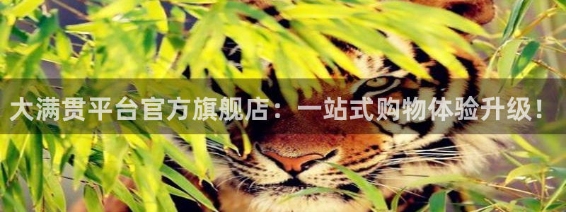 J9九游app下载：大满贯平台官方旗舰店：一站式购物体验升级！