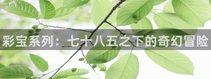 J9九游,com：彩宝系列：七十八五之下的奇幻冒险