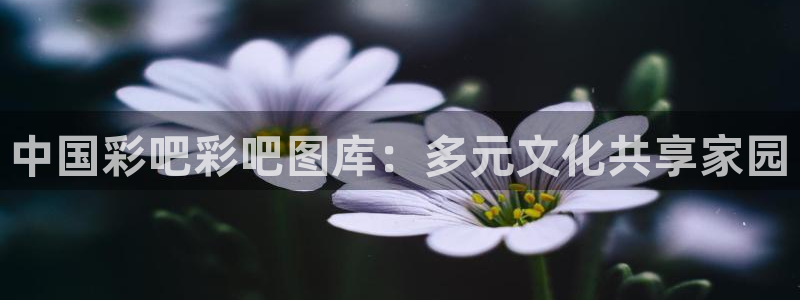 壹号电子娱乐app下载最新版本：中国彩吧彩吧图库：多元文化共享家园