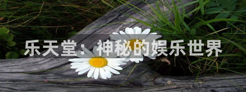 J9九游app：乐天堂：神秘的娱乐世界